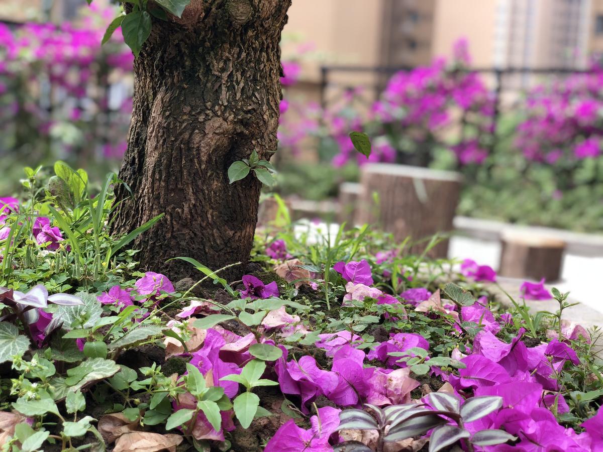 Emei Mountain Xileer Hotel Ъмейшан Екстериор снимка