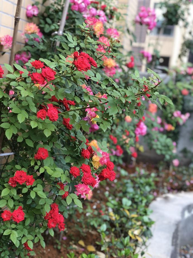 Emei Mountain Xileer Hotel Ъмейшан Екстериор снимка