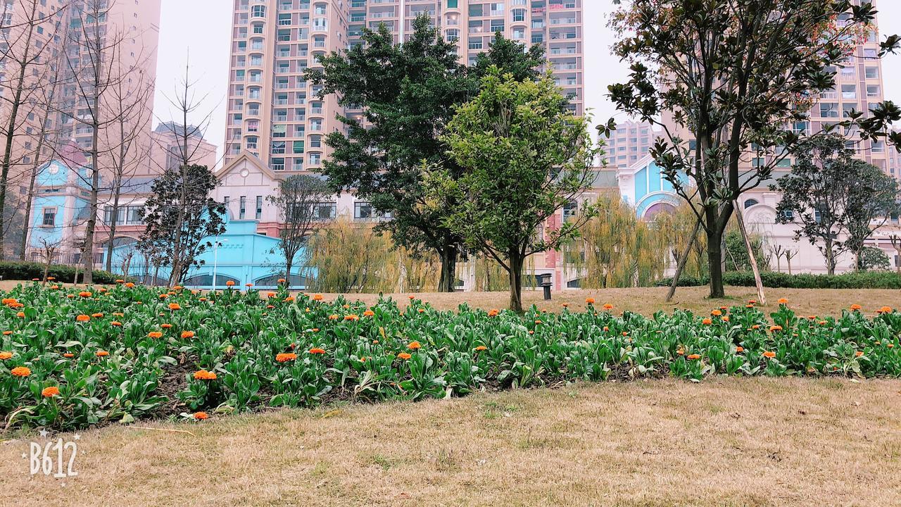 Emei Mountain Xileer Hotel Ъмейшан Екстериор снимка